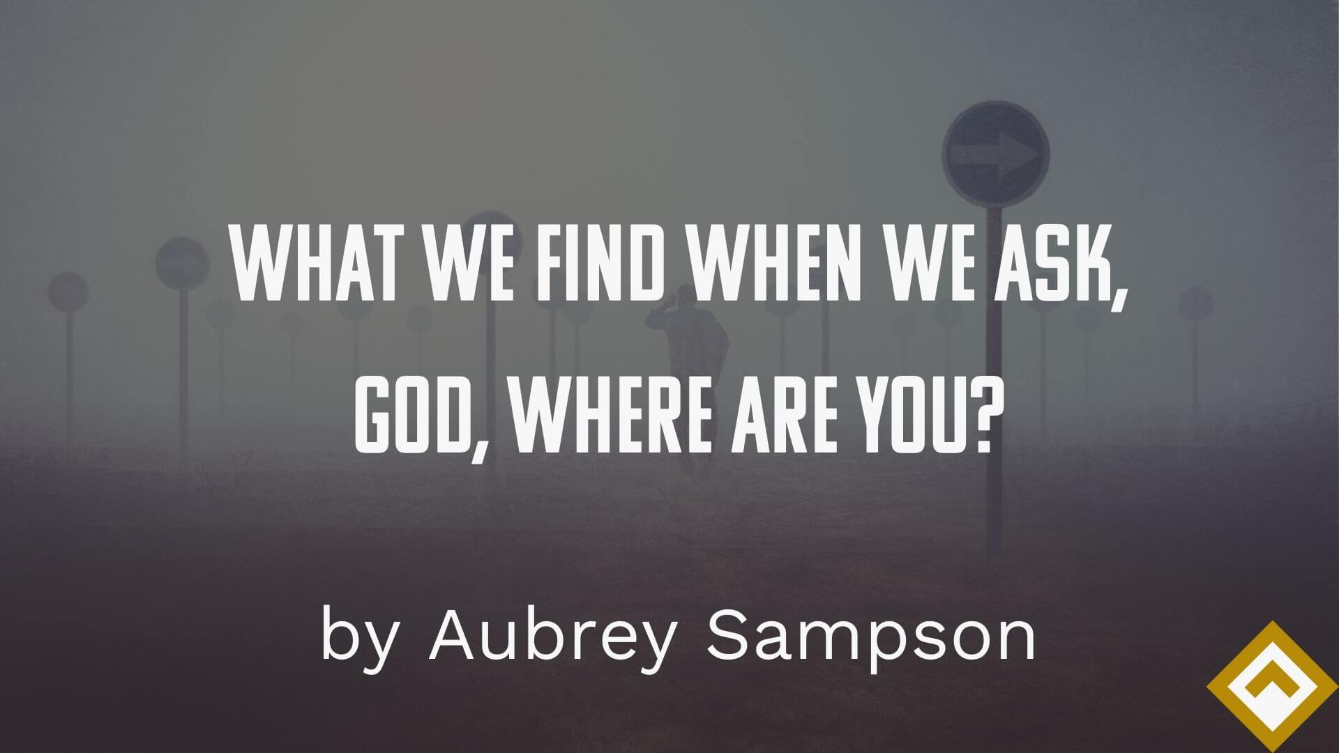 what we find blog